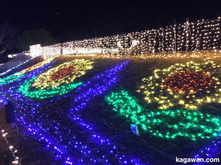 22年は花火なし まんのう公園のイルミネーションを徹底解説 料金 期間 バス情報 カガワン